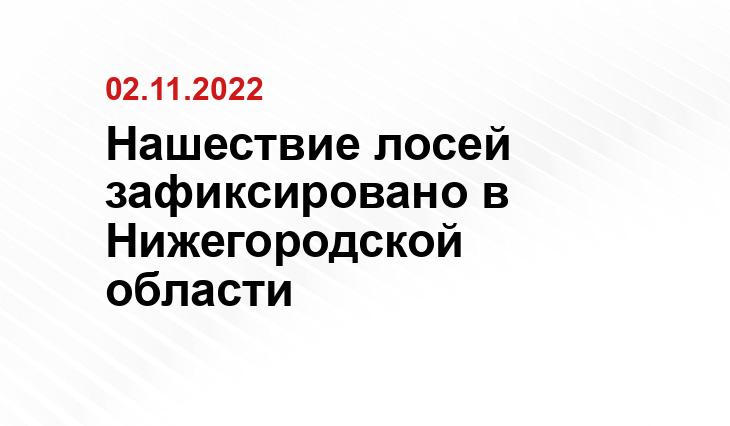 Пресс-служба губернатора и
правительства Нижегородской области