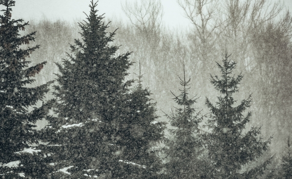 Матвеев день: что можно и нельзя 29 ноября — не надевать красного, молитва апостолу от хворей